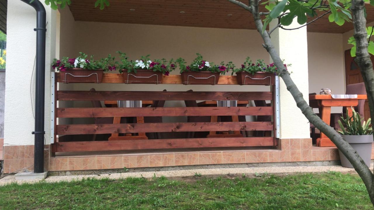 Vila Lisina Selište Drežničko Zewnętrze zdjęcie